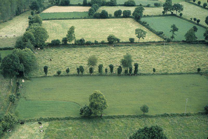 La complexité d'un paysage agricole : chaque composante a un effet sur les ravageurs et leurs ennemis naturels