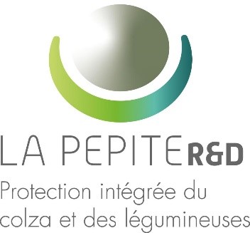 Logo LA PEPITE R&D